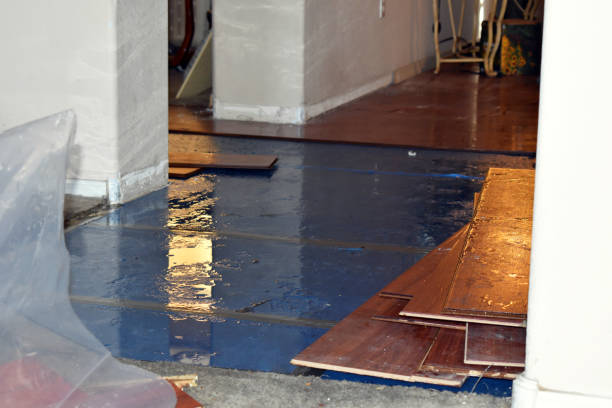 Professional Basement Flood Cleanup technician working in Vinton, VA